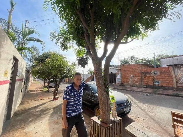 Em bairro com d&eacute;ficit de arboriza&ccedil;&atilde;o, escola distribui mudas e sementes
