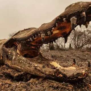 Sumido nos Andes, montanhista retratou queimadas no Pantanal em fotos incr&iacute;veis