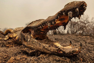 Sumido nos Andes, montanhista retratou queimadas no Pantanal em fotos incríveis Sumido nos Andes, montanhista retratou queimadas no Pantanal em fotos incríveis