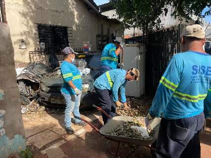 A&ccedil;&atilde;o contra dengue e leishmaniose remove entulhos de terreno