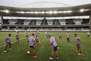 Botafogo recebe Cear&aacute; em jogo atrasado da 10&ordf; rodada do Brasileir&atilde;o