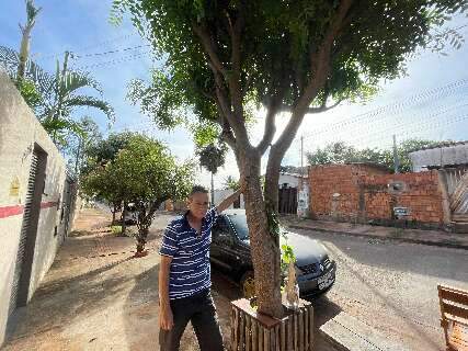 Em bairro com d&eacute;ficit de arboriza&ccedil;&atilde;o, escola distribui mudas e sementes