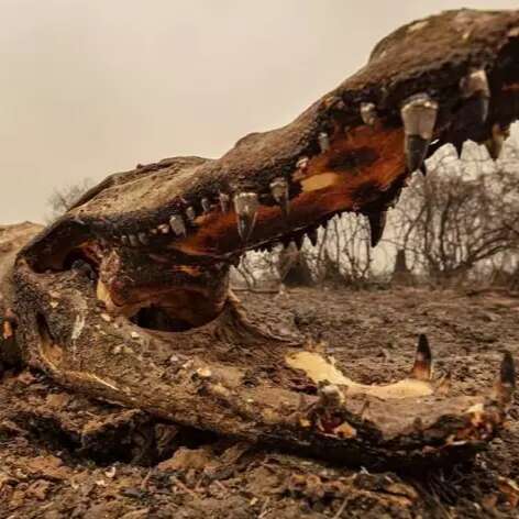 Sumido nos Andes, montanhista retratou queimadas no Pantanal em fotos incr&iacute;veis