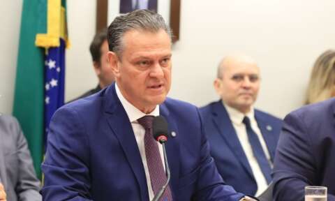 Brasil pode se declarar livre da gripe avi&aacute;ria em 14 dias, diz ministro