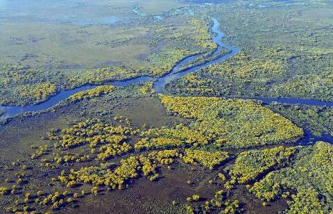 PL que flexibiliza licenciamento ambiental amea&ccedil;a Pantanal, alerta instituto