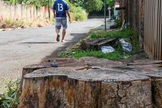 Título de “mais arborizada” contrasta com lixo e tocos de árvores pelas ruas Título de “mais arborizada” contrasta com lixo e tocos de árvores pelas ruas