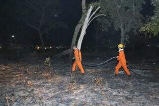 Vento espalha chamas e inc&ecirc;ndio consome 2 hectares no Parque dos Poderes