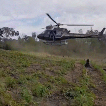Opera&ccedil;&atilde;o da PF e ag&ecirc;ncia paraguaia destr&oacute;i 816 toneladas de maconha