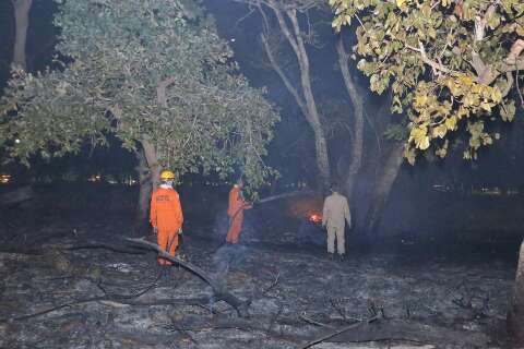 Vento espalha chamas e inc&ecirc;ndio consome 2 hectares no Parque dos Poderes