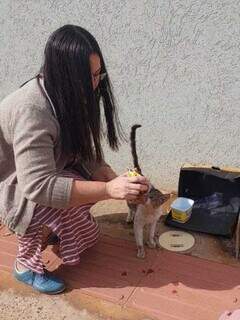 Abandonado como lixo, gato &eacute; salvo por protetora que pede ajuda nos cuidados