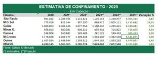 Eucalipto reduz &aacute;reas de pecu&aacute;ria extensiva e estimula confinamento do gado
