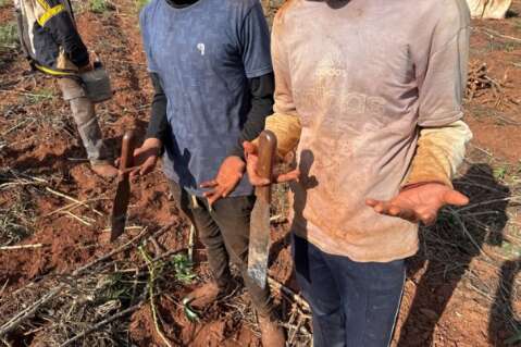 Trabalhadores paraguaios s&atilde;o resgatados em condi&ccedil;&otilde;es an&aacute;logas &agrave; escravid&atilde;o
