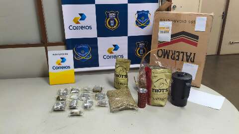 Maconha avaliada em R$ 126 mil &eacute; apreendida em pacote de terer&eacute; nos Correios