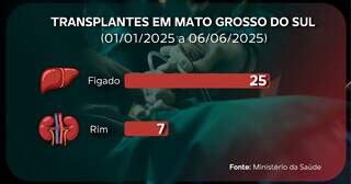 MS j&aacute; fez 32 transplantes de &oacute;rg&atilde;os em seis meses, maioria de f&iacute;gado