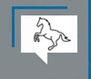 A corrida do cavalo derrotado pelos gale&otilde;es de prata