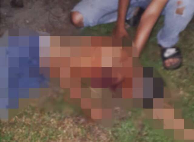 Pe&atilde;o incendeia im&oacute;vel, causa danos com trator e acaba morto a tiros em fazenda