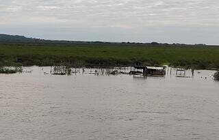 Rio Paraguai atinge 3 metros, depois do recorde negativo histórico de 2024 Rio Paraguai atinge 3 metros, depois do recorde negativo histórico de 2024