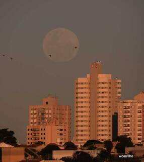 Lua de Morango surge em posição mais baixa em quase duas décadas Lua de Morango surge em posição mais baixa em quase duas décadas