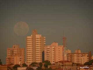 Lua de Morango surge em posi&ccedil;&atilde;o mais baixa em quase duas d&eacute;cadas
