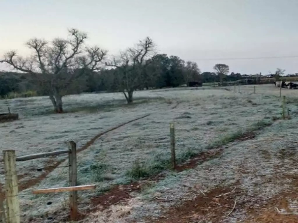 M&iacute;nima de 3&ordm;C coloca Regi&atilde;o Sul em alerta para geada na madrugada