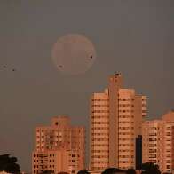Lua de Morango surge em posição mais baixa em quase duas décadas