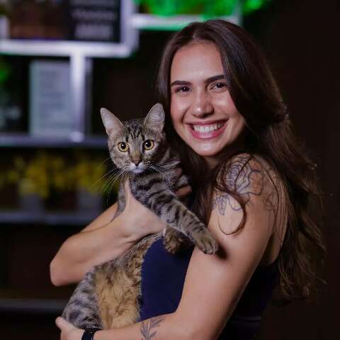 Gatinha Jade Maria desapareceu h&aacute; duas semanas no bairro Ch&aacute;cara Cachoeira