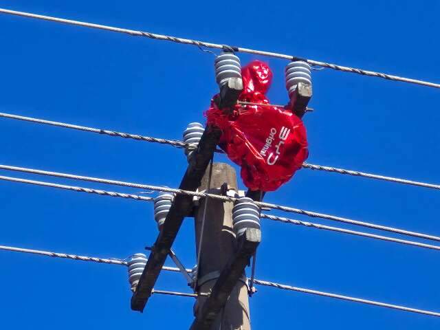 Bal&atilde;o enroscado em fios interrompe fornecimento de energia na regi&atilde;o central