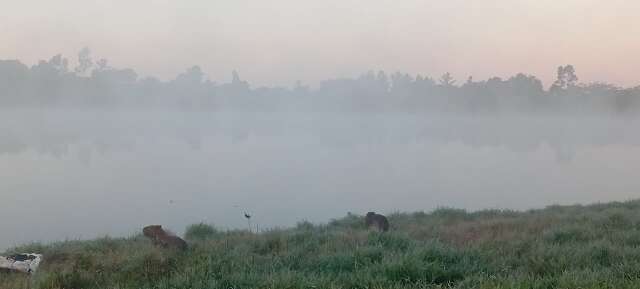 Dourados amanhece sob forte nevoeiro e frio de 10&ordm;C