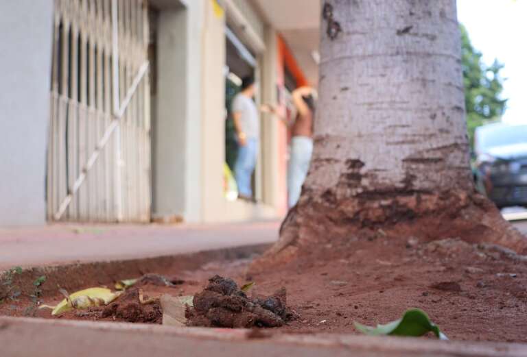 Campo Grande News