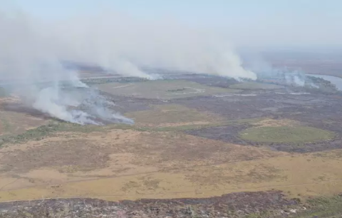 Justi&ccedil;a manda bloquear R$ 212 milh&otilde;es de fazendeiros por fogo no Pantanal 