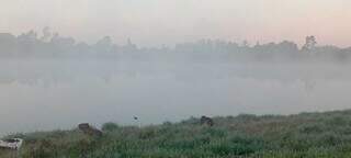 Dourados amanhece sob forte nevoeiro e frio de 10&ordm;C