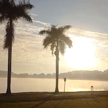 Massa de ar frio provoca nevoeiro e mant&eacute;m temperaturas amenas