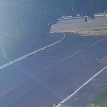 Em alta velocidade, carro bate em &aacute;rvore e tem motor arrancado em cruzamento