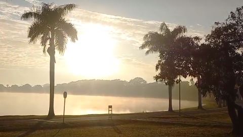 Massa de ar frio provoca nevoeiro e mant&eacute;m temperaturas amenas