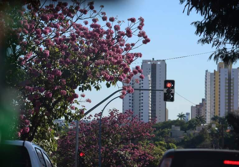 Campo Grande News