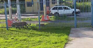PMA faz ronda noturna na tentativa de afastar onças da área urbana de Corumbá PMA faz ronda noturna na tentativa de afastar onças da área urbana de Corumbá