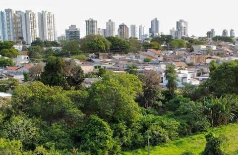 Voc&ecirc; vive em um bairro verde o suficiente? Fa&ccedil;a o teste com a regra &ldquo;3-30-300&rdquo;