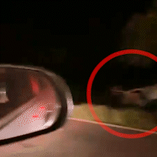 Colis&atilde;o entre Hilux e Gol deixa tr&ecirc;s feridos, entre eles filho de prefeita