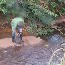 &Agrave; moda antiga e ao lado do shopping, homem pesca cascudo no C&oacute;rrego Prosa