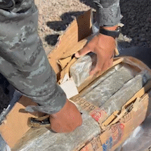 Maconha &eacute; encontrada em carga de tapetes em transportadora da Capital