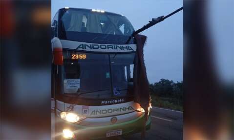 Acidente entre &ocirc;nibus e caminh&atilde;o deixa mortos e feridos na rodovia