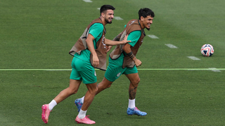 Palmeiras e Botafogo estreiam neste domingo no Mundial de Clubes Palmeiras e Botafogo estreiam neste domingo no Mundial de Clubes
