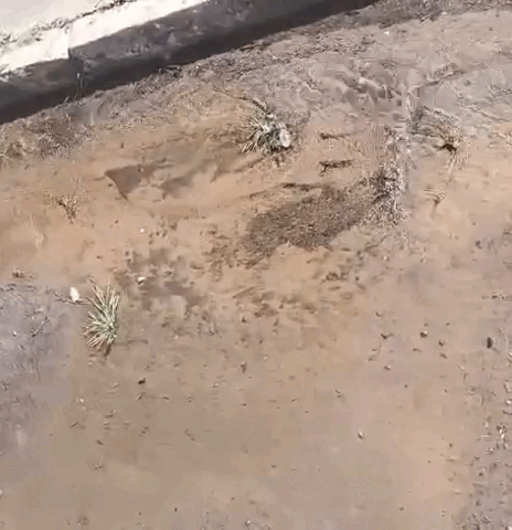 Cano estourado desperdi&ccedil;a &aacute;gua, que escorre em rua h&aacute; duas semanas