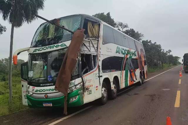 Acidente entre &ocirc;nibus e caminh&atilde;o deixa mortos e feridos na rodovia