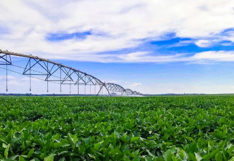 &Aacute;rea irrigada em MS cresce 63% em nove anos, com 320 mil hectares