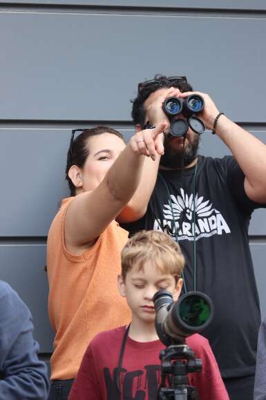 Campo Grande News