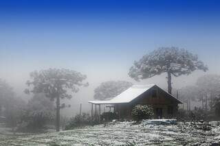 Serra Ga&uacute;cha, um destino muito al&eacute;m de Gramado e Canela