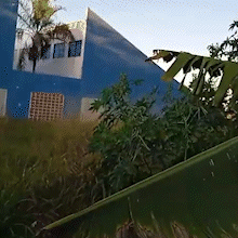  Incubadora &eacute; alvo de reclama&ccedil;&atilde;o por abandono e sujeira no Estrela Dalva 