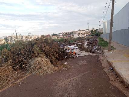 Descarte irregular, rua &eacute; bloqueada por entulho e carca&ccedil;as de animais