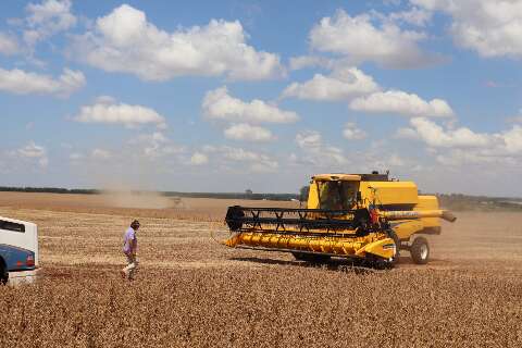 PIB de Mato Grosso do Sul deve crescer 5,5% em 2025, puxado pela agropecu&aacute;ria